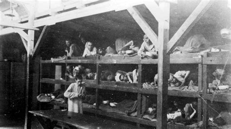 Portnoy: Antisemitic Sign Offenders Should See Auschwitz 1 image 3